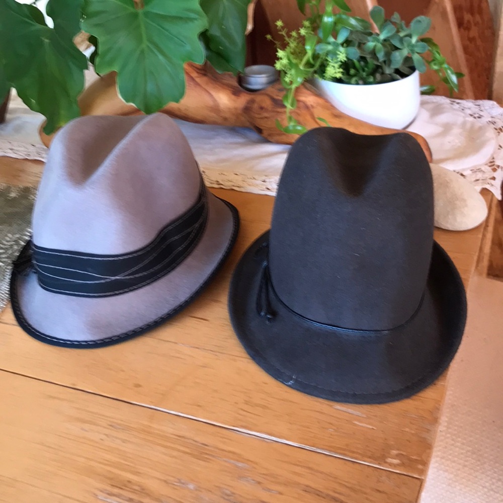 Two winter felt hat